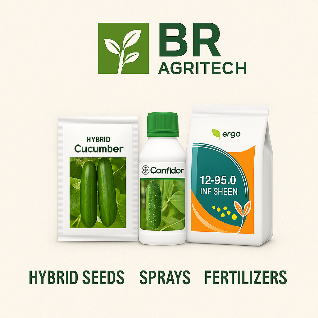 🌱 Premium Quality Seeds – Fresh, Tested & High Yield