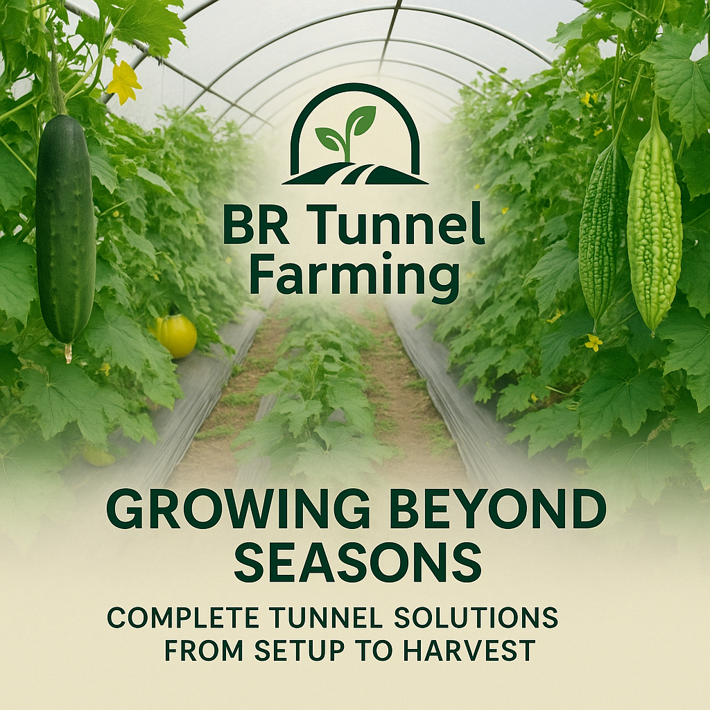 Tunnel Farming – Off-Season Vegetables & High Yield Solutions