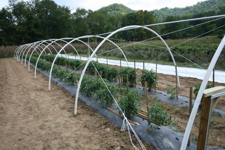 Heavy-Duty Tunnel Pipes – Strong & Durable for Tunnel Farming
